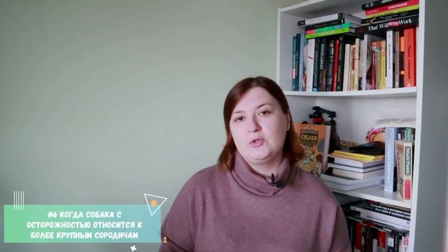 Проект "Желтая лента" для владельцев собак. Выпуск #10/Давайте поговорим/ Патрик спрашивает смотреть онлайн