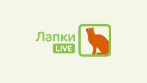 Заставки Лапки LIVE (14.03.2023-н.в) Оригинал