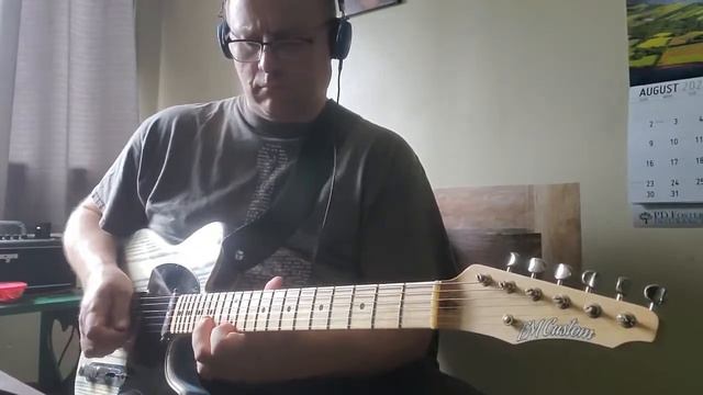 Playing the Blues - EM Custom T Guitar смотреть онлайн