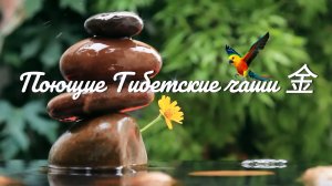 Тибетские Чаши 🍵, Звуки Природы 🌿, Пение Птиц 🐦 - Звуковая Терапия для Вашего Здоровья 💆♀️