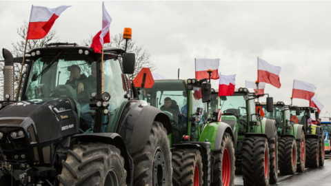 В Польше уничтожили 160 тонн украинского зерна