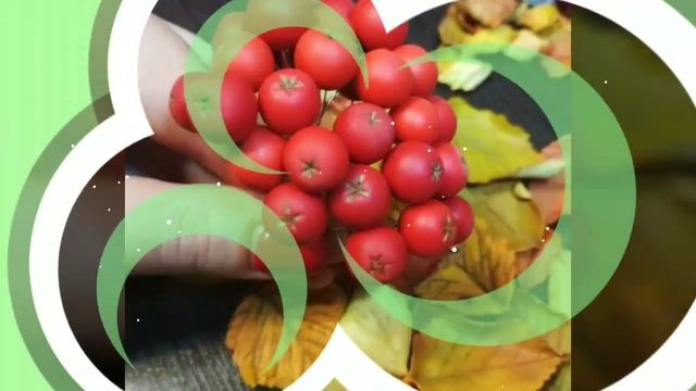 Видео-курс "Краски осени" - украшения из полимерной глины смотреть онлайн