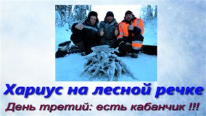 Хариус на лесной речке \ День третий