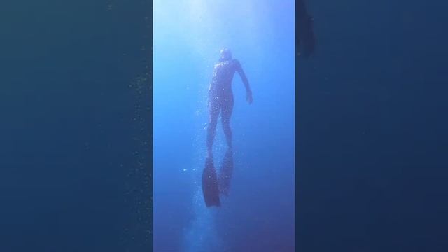 Фридайвинг в Черном море. Рекреационное ныряние. Балаклава, Виновоз, Гроты смотреть онлайн