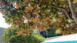 ?ЭКСКУРСИЯ ПО КРЫМСКИМ ДОСТОПРИМЕЧАТЕЛЬНОСТЯМ?Это нужно увидеть ? #крым #экскурсия #дворцы