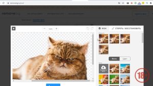 Как удалить фон фотографии онлайн и бесплатно? БЕЗ ФОТОШОПА. Полезный онлайн сервис