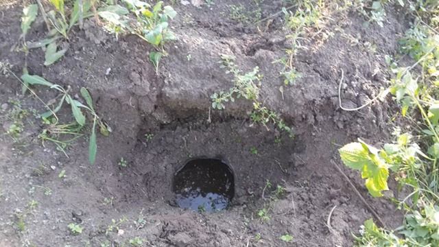 Слепыш. Секреты и способы борьбы. смотреть онлайн