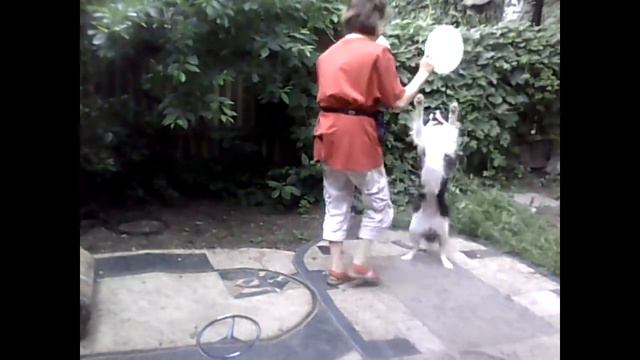 Домашние занятия фри-фри с Айкой смотреть онлайн