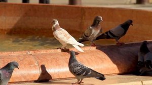 10 Most Beautiful Cities to Visit in France 4K ?? | Paris | Lyon | Marseille