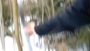 Шашка ККВ и Гурда Мастера " ИЗ". Рубка толстой лозы и свиной головы 11.02.2017.