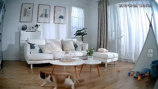 Imou Ranger 2 - 360° coverage All in one IP Indoor Security camera /Please check the description bo смотреть онлайн