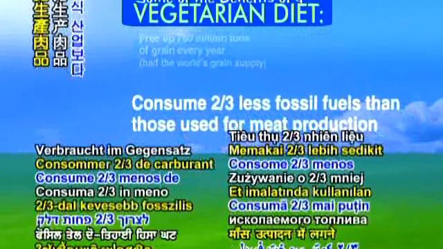 WE ARE ALWAYS WIH GOD EVERY DAY Lecture by Supreme Master Ching Hai Surabaya,Indonesia-March 5,1993 смотреть онлайн