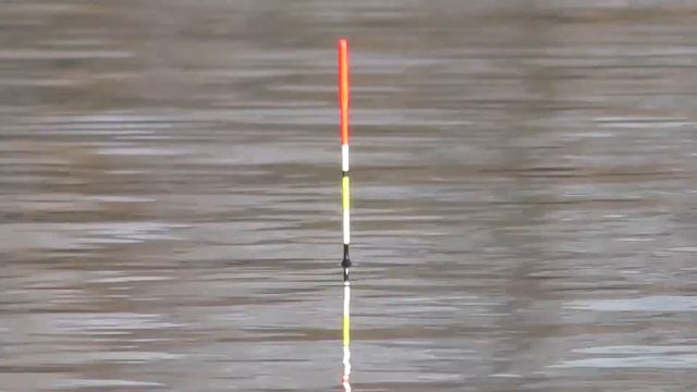 ДИКА ТАРАНЬ затягуе вудки в корчі смотреть онлайн