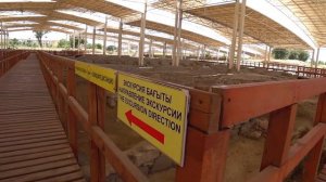 Автопутшествие в Тараз, горы и древний Тараз