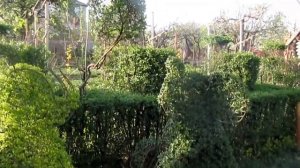 Пруд и биоплато своими руками.В гостях у мастера топиара Виктора Алипова. 2 часть. Биоплато