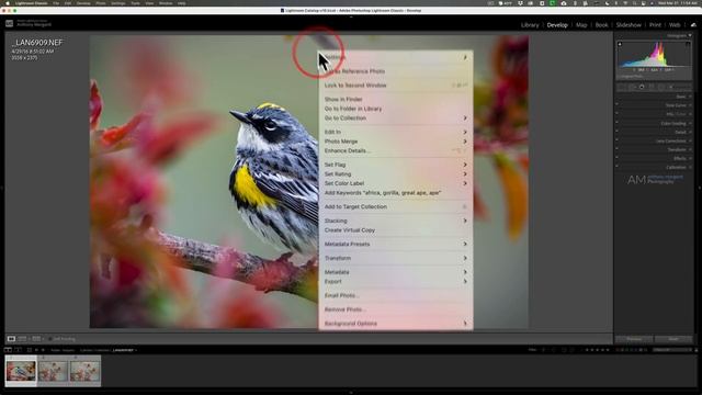 How To Use SUPER RESOLUTION When in LIGHTROOM смотреть онлайн