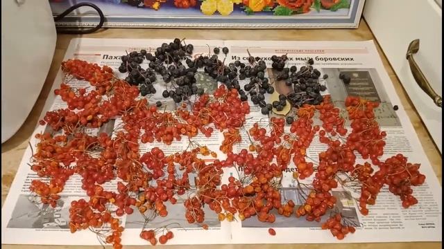 Урожай 2018 в Лискинском районе! Заготовки на зиму (часть №3) смотреть онлайн