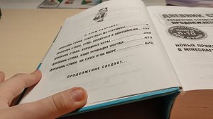 обзор на книгу *дневник Стива квадратное странствие продолжается!*
