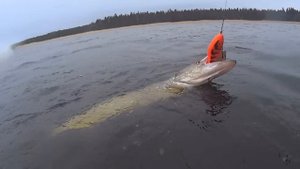 Ловля щуки на джерк! Супер клёв на Salmo Slider.
