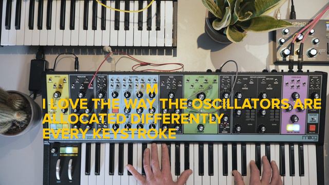 Moog Matriarch, Dreadbox Typhon and Korg MS-20 | Chillhop & Lofi смотреть онлайн