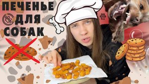 РЕЦЕПТ ПЕЧЕНЬЯ ДЛЯ СОБАК|ЭТО ТАК ПРОСТО?🐶🍪