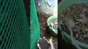 How to do organic compost with our daily waste