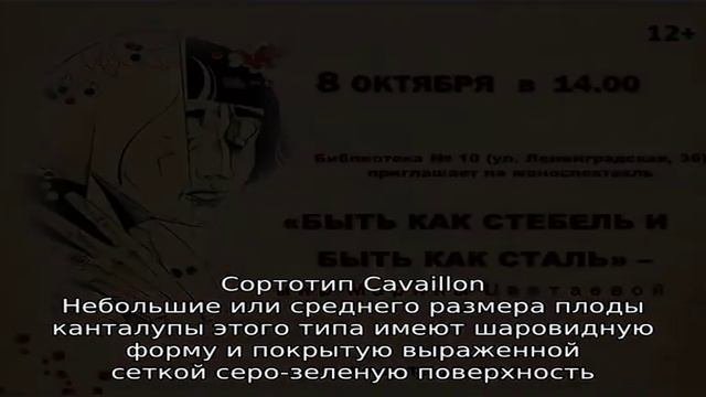 Одна из западноевропейских разновидностей дыня Канталупа
