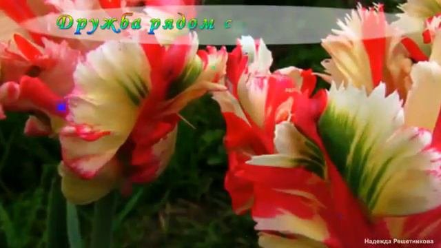 Красивое приветствие