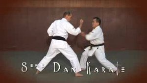 КАРАТЭ ОКИНАВА ГОДЗЮ-РЮ