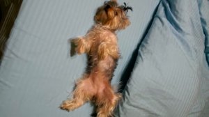 Провинилась!