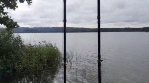 РЫБАЛКА В БАВАРИИ🇩🇪ОЗЕРО БРОМБАХ