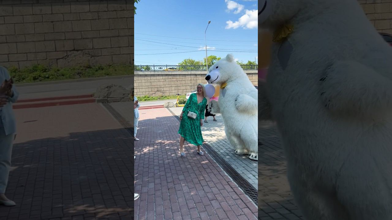 Поздравление белого медведя Москва #умка #белыймедведь #праздник #белыймишка #топ