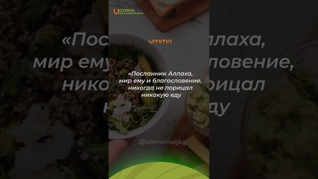Сунна. Не порицать еду смотреть онлайн