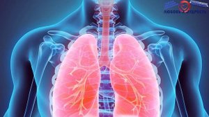 Мелисса: Вся Польза и Вред. Правда о Применение в народной медицине, косметологии и хозяйстве