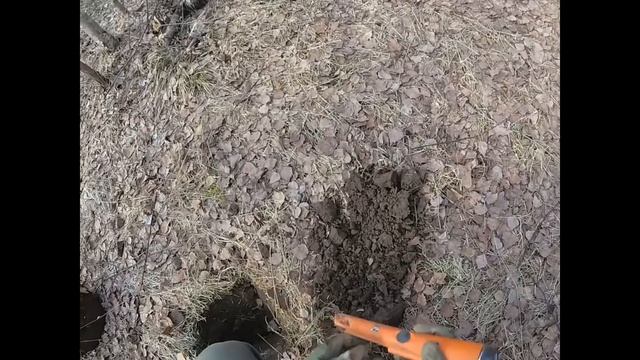 Первые впечатления от EQUINOX 600 после X-terra 705 смотреть онлайн