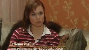 Кошки какой породы бывают вислоухими