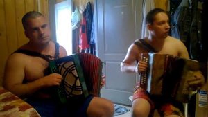 ой калина,ой малина под гармонь