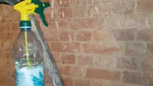 Очистка кирпичной стены от остатков известковой штукатурки.