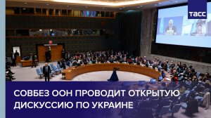 Совбез ООН проводит открытую дискуссию по Украине