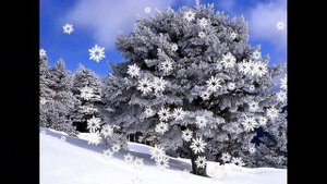 Не ветер бушует над бором Некрасов