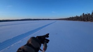 Таёжное озеро удивило.Раздача крупного окуня. ХМАО