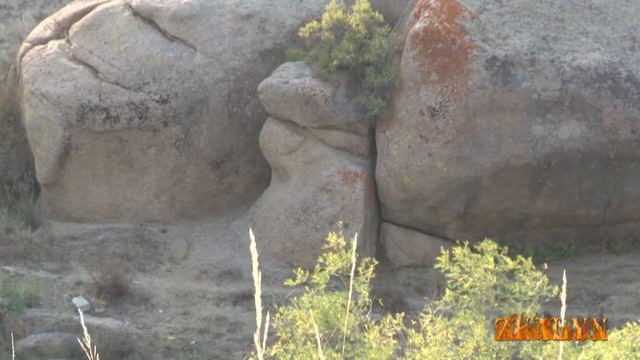 Скалы суслик и пингвин смотреть онлайн