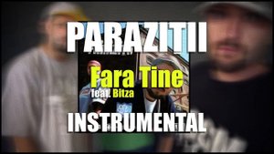 Parazitii - Fara Tine (feat. Bitza) [INSTRUMENTAL]
