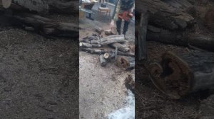 HUSQVARNA 262 VS STIHL 360