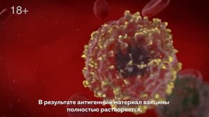Что происходит после прививки