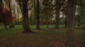 Нежность - ВИА Надежда.