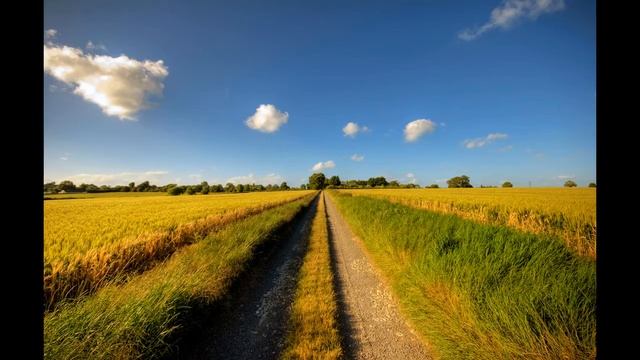 Paul Mauriat - El Bimbo.mp4 смотреть онлайн