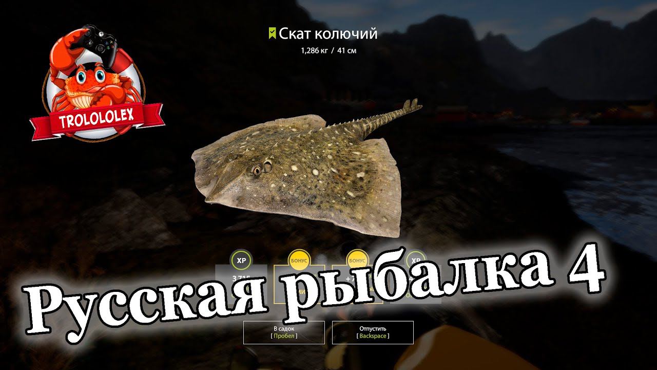 Русская рыбалка 4. Норвежское море. Пятничный министримчег смотреть онлайн