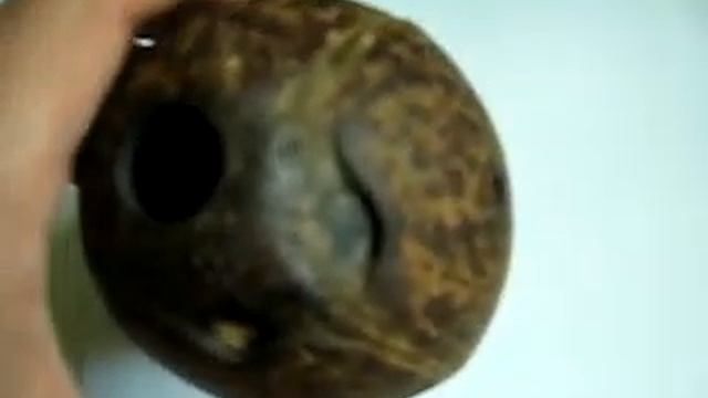 Кокосовый инструмент смотреть онлайн