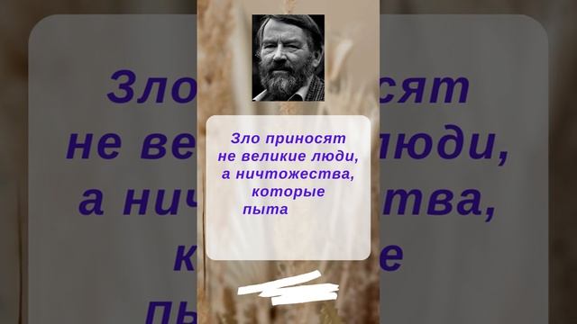 Цитаты, афоризмы